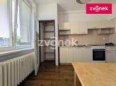 Pronájem bytu, 1+1, 42 m²