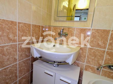 Obrázek k zakázce č.: 716802 | Pronájem bytu, 1+1, 42 m²