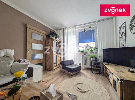 Prodej bytu, 2+1, 54 m² obrázek