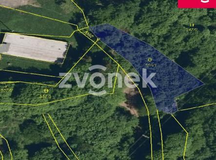 1 | Prodej - pozemek, les, 4 429 m²