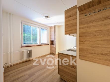 PXL_20260520_053230682 (1) (1) | Pronájem bytu, 2+1, 43 m²