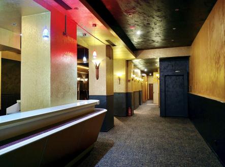 Pronájem - obchodní prostor, 411 m² obrázek