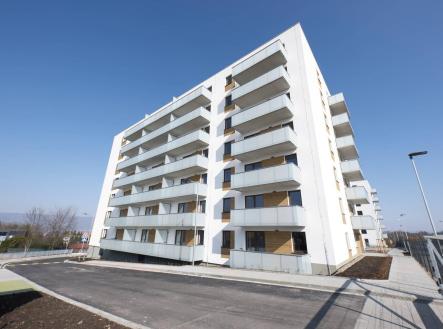Pronájem bytu, 2+kk, 54 m² obrázek