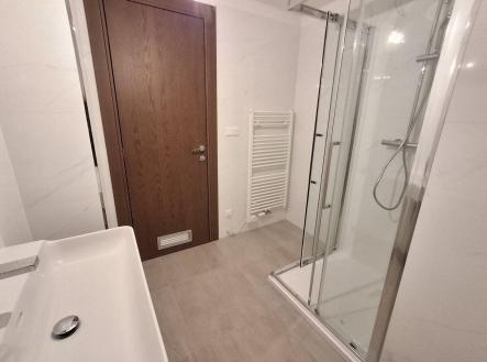 Pronájem bytu, 2+kk, 54 m²