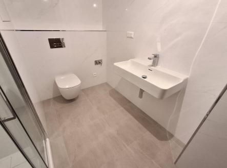 Pronájem bytu, 2+kk, 54 m²