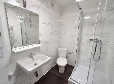 Pronájem bytu, 2+kk, 47 m²