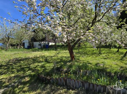 Prodej - pozemek, zahrada, 501 m² obrázek