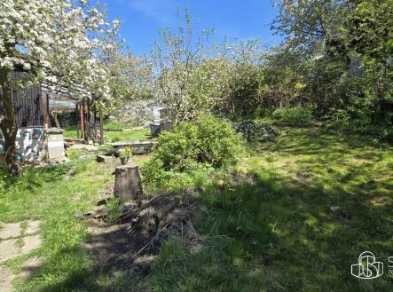 Prodej - pozemek, zahrada, 501 m²
