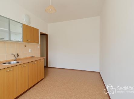 Pronájem bytu, 1+1, 48 m²