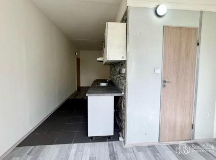 Pronájem bytu, 1+1, 45 m²