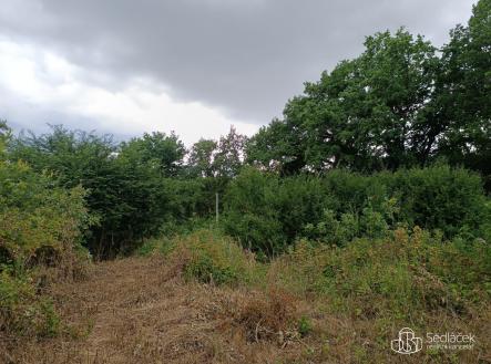 Prodej - pozemek pro bydlení, 2 116 m²