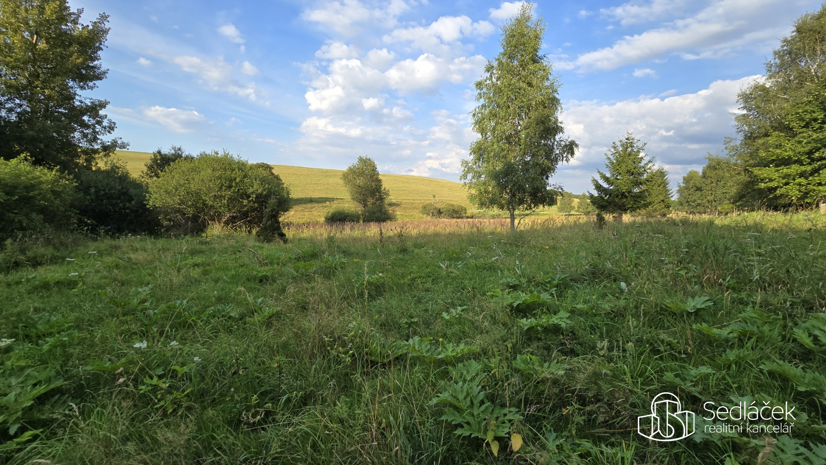 Prodej pozemků Čistá u Rovné