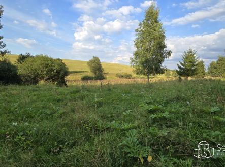 Prodej - pozemek, ostatní, 8 130 m²