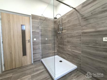 Pronájem bytu, 3+1, 100 m²