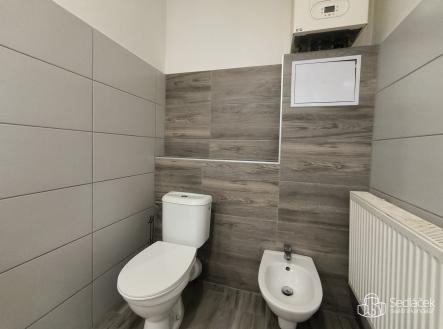 Pronájem bytu, 3+1, 100 m²