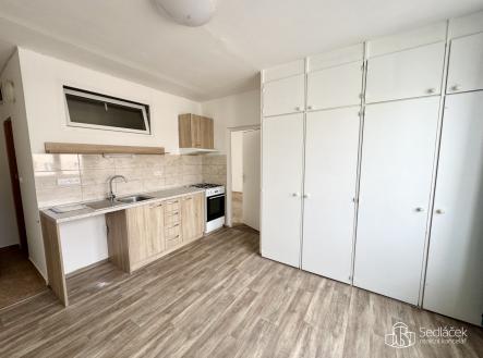 Pronájem bytu, 1+1, 43 m²