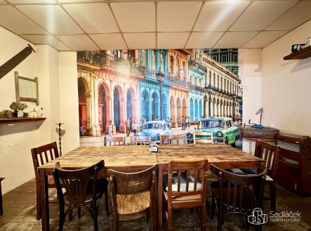 Pronájem - obchodní prostor, 166 m²