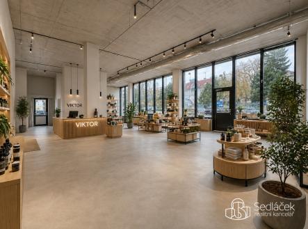Pronájem - obchodní prostor, 350 m²