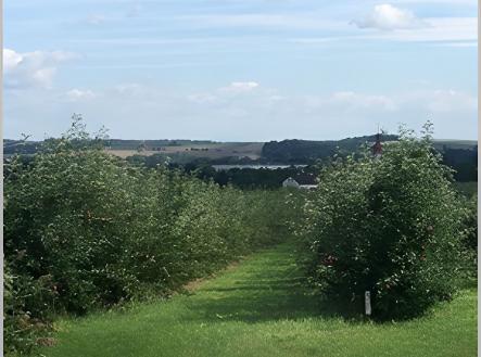 Prodej - pozemek, zemědělská půda, 710 000 m²