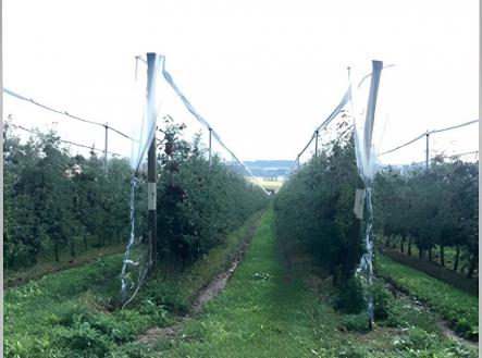 Prodej - pozemek, zemědělská půda, 710 000 m²