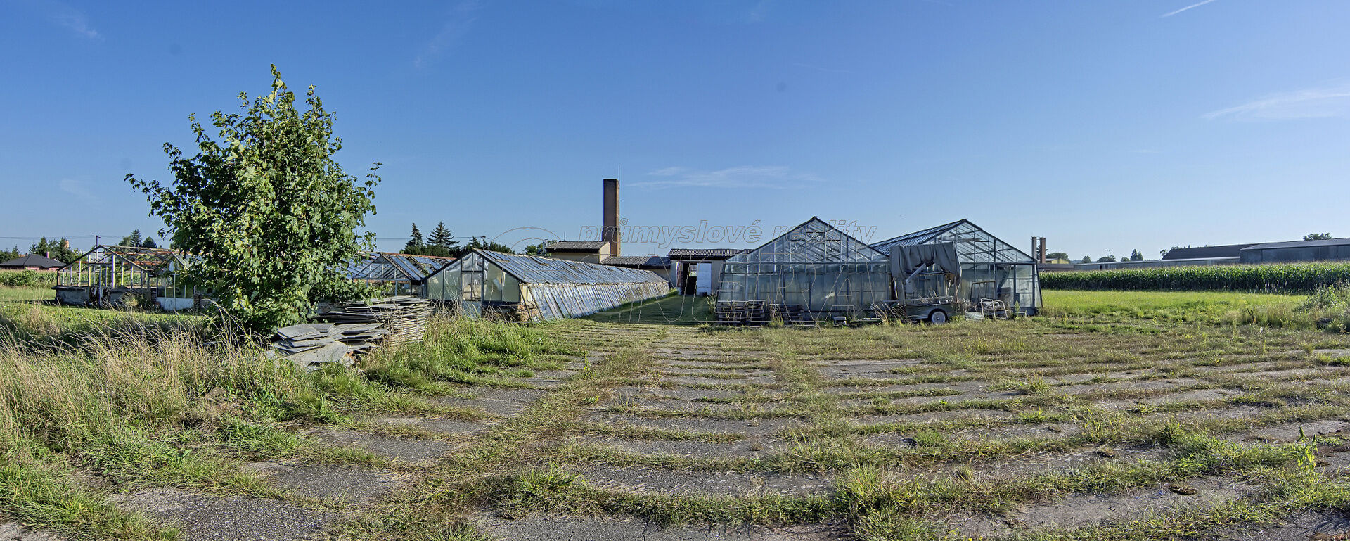 Zemědělský areál (pozemky) o celkové výměře 11.704 m2 v Holicích