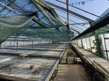 Prodej - zemědělský objekt, 11 704 m²