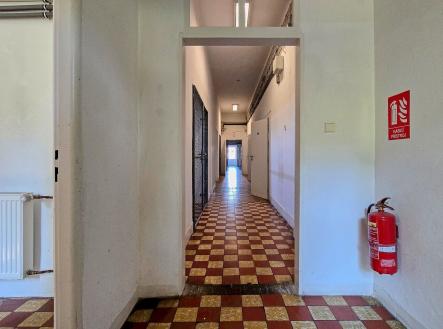 Pronájem - výrobní prostor, 344 m²