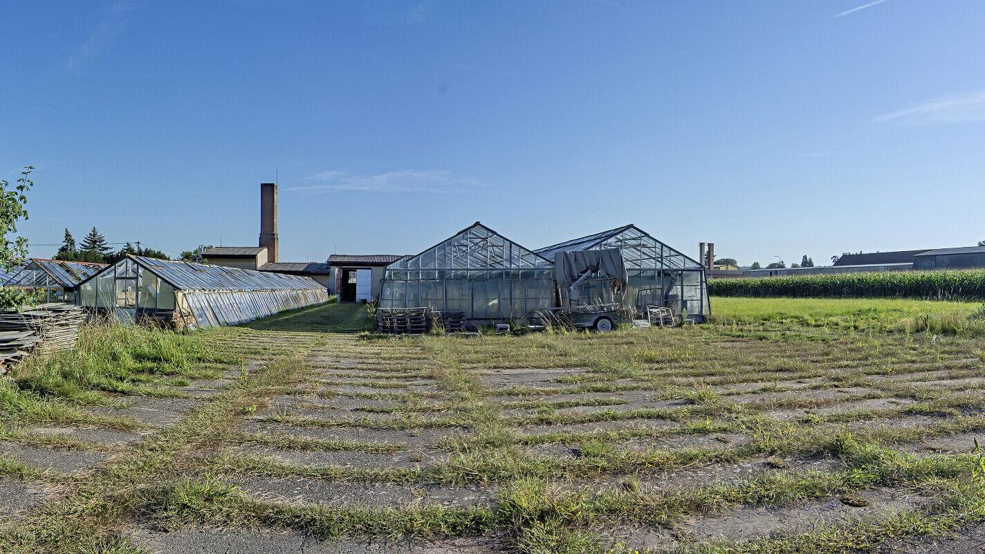 Pozemky o výměře 11.704 m2 v Holicích (bývalý zemědělský areál)