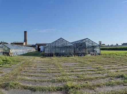 Prodej - pozemek, zemědělská půda, 11 704 m²