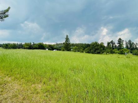 Prodej - pozemek, trvalý travní porost, 1 427 m²