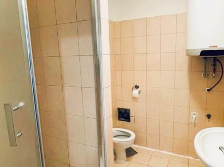 Pronájem bytu, 2+kk, 55 m²