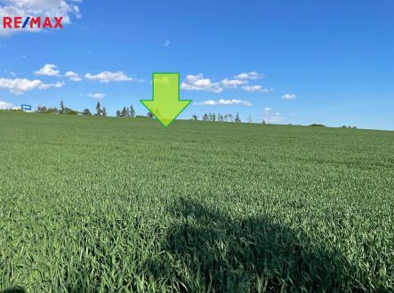 img-20250504-wa0047.jpg | Prodej - pozemek, zemědělská půda, 7 076 m²