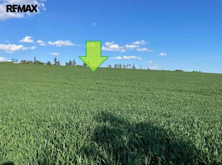 img-20250504-wa0047.jpg | Prodej - pozemek, zemědělská půda, 7 076 m²