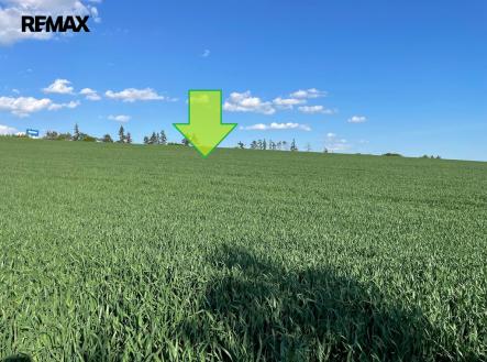 img-20250504-wa0047.jpg | Prodej - pozemek, zemědělská půda, 7 076 m²