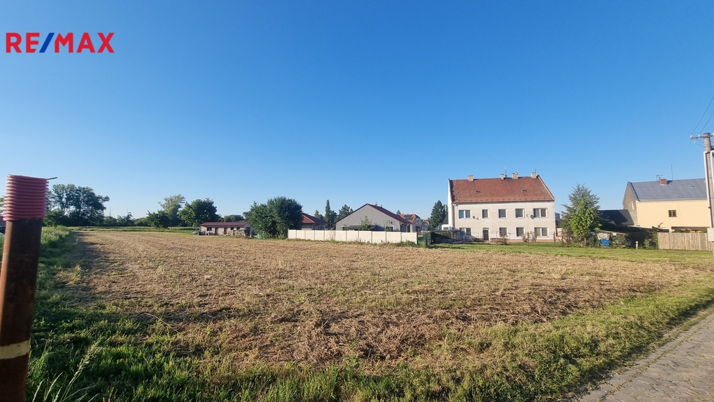 20250819-182153.jpg