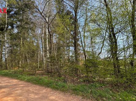 img-2012.jpeg | Prodej - pozemek, les, 25 088 m²