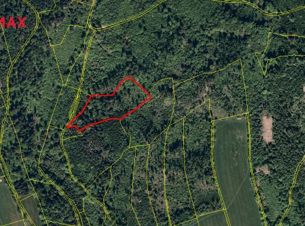 snimek-obrazovky-2025-05-06-v-14.34.58.png | Prodej - pozemek, les, 25 088 m²