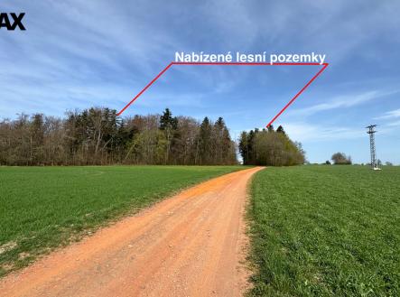 img-2048-text.jpeg | Prodej - pozemek, les, 25 088 m²