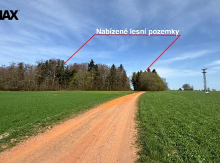 img-2048-text.jpeg | Prodej - pozemek, les, 25 088 m²