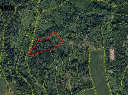 snimek-obrazovky-2025-05-06-v-14.34.58.png | Prodej - pozemek, les, 25 088 m²