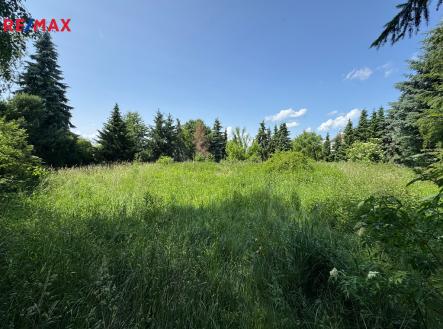 img-3576.jpeg | Prodej - pozemek pro komerční výstavbu, 4 428 m²