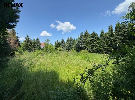 img-3583.jpeg | Prodej - pozemek pro komerční výstavbu, 4 428 m²