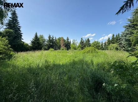 img-3576.jpeg | Prodej - pozemek pro komerční výstavbu, 4 428 m²