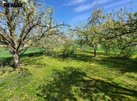 20250422-112219.jpg | Prodej - pozemek pro bydlení, 1 097 m²