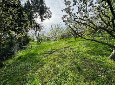 img-4940.jpg | Pronájem - dům/vila, 80 m²