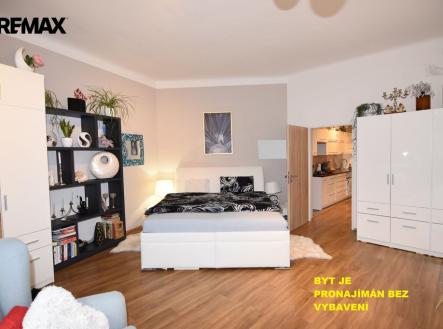 dsc-3382-kopie.jpg | Pronájem bytu, 2+kk, 55 m²
