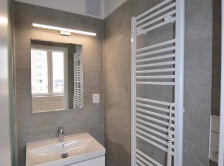 dsc-0035.jpg | Pronájem bytu, 1+1, 38 m²