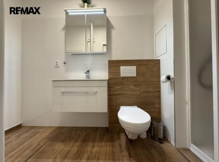img-0247.jpeg | Pronájem bytu, 1+1, 41 m²