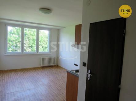 stažený soubor (1).jpg | Pronájem bytu, 1+kk, 22 m²