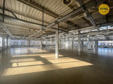 1739218605603.jpg | Pronájem - skladovací prostor, 1 095 m²